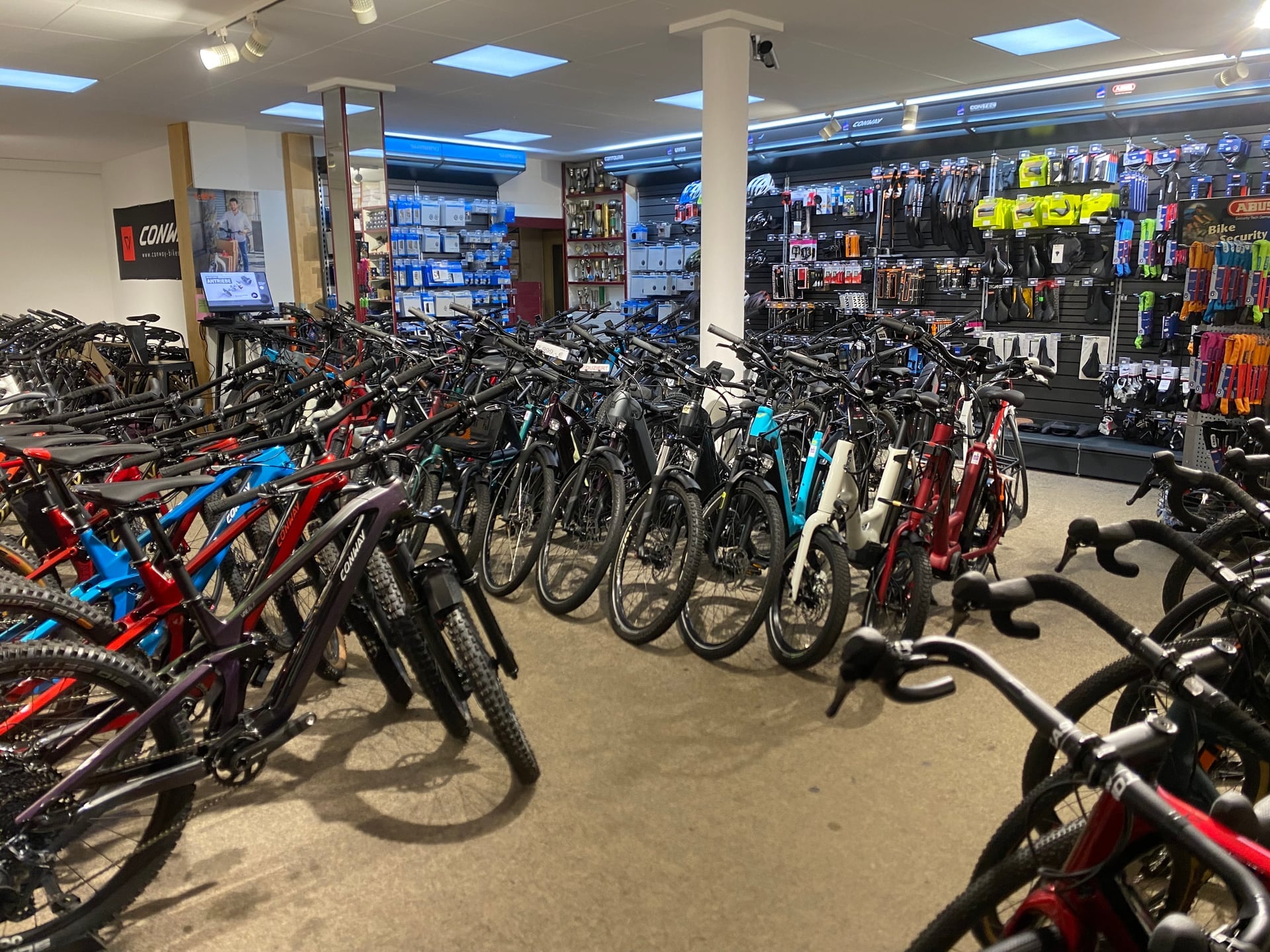 MB Sports Team Shop